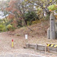 経緯